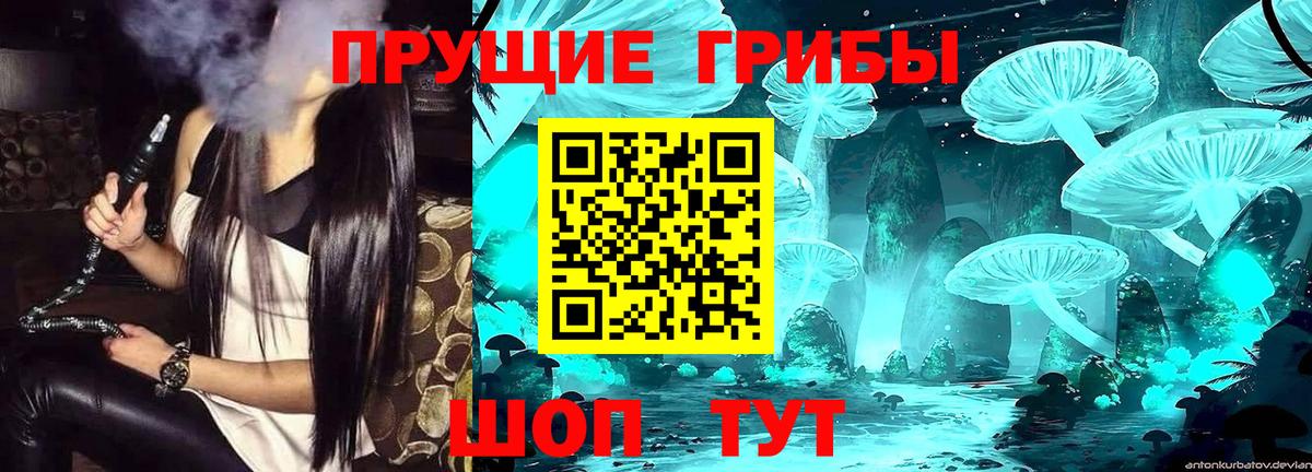 Галлюциногенные грибы прущие грибы  Галлюциногенные грибы ЛСД  Вход с VPN  Ессентуки 