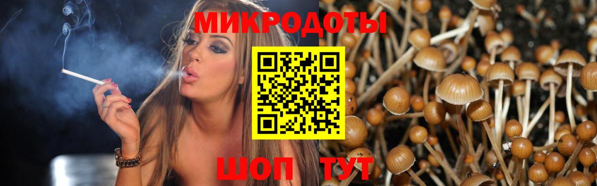Галлюциногенные грибы ЛСД Ессентуки